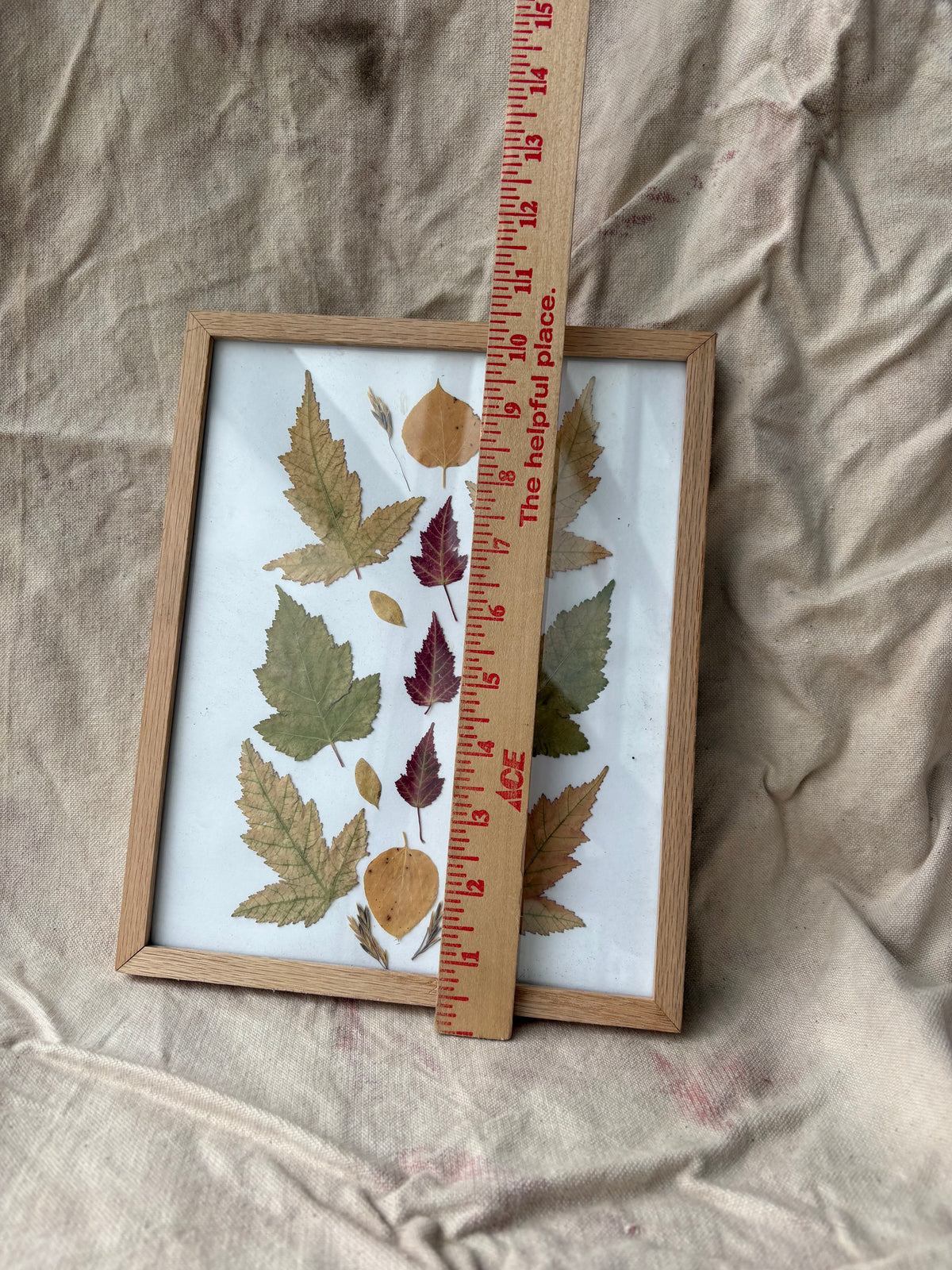 Pressed Leaf Artwork