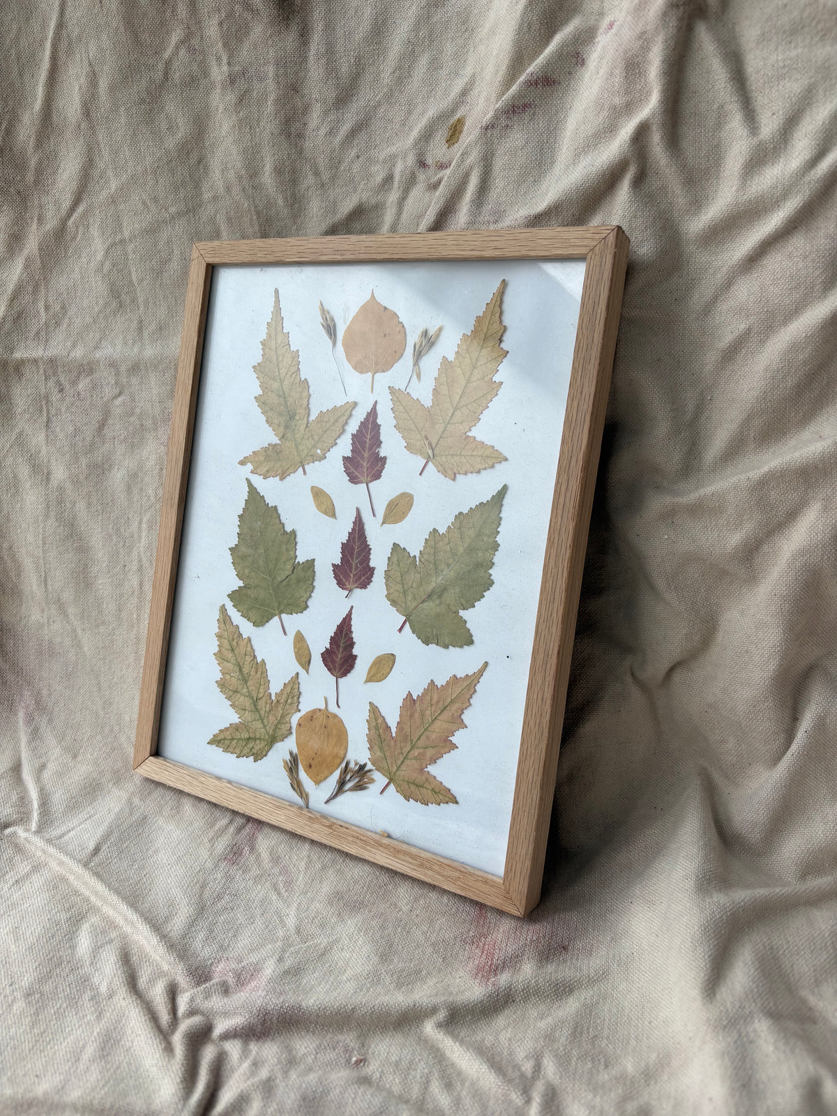 Pressed Leaf Artwork